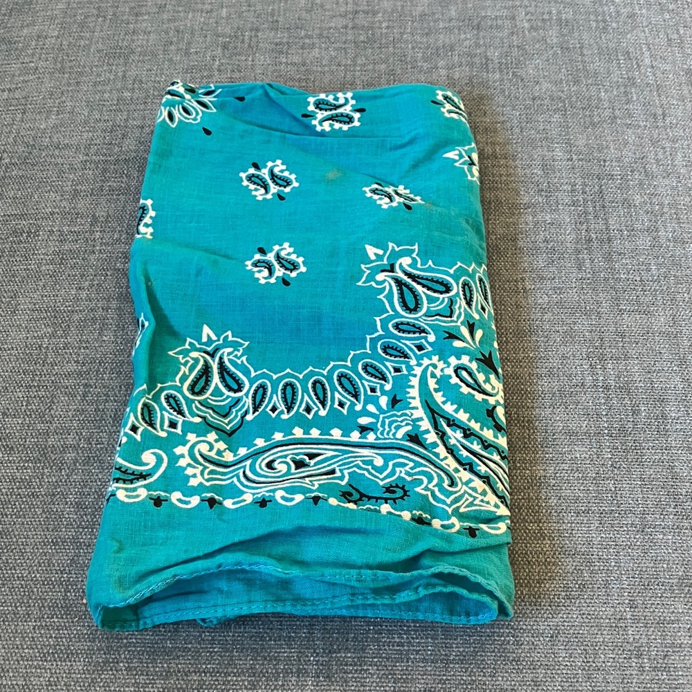 Blue Bandana